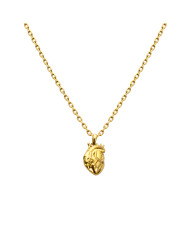 Collar Jannie Coffee